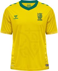 Vaikiški Lietuvos futbolo rinktinės marškinėliai, 8 m.