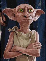 Tapyba pagal skaičius IDEYKA Harry Potter ištikimybės galia, 30 x 40 cm