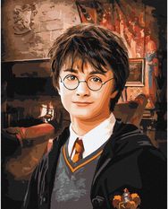 Tapyba pagal skaičius IDEYKA Harry Potter Grifindoro bendroji salė, 40 x 50 cm
