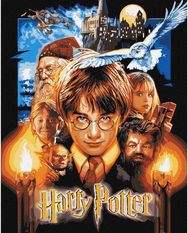 Tapyba pagal skaičius IDEYKA Harry Potter plakatas, su metaliko dažais, 40 x 50 cm