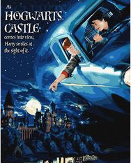 Tapyba pagal skaičius IDEYKA Harry Potter skrydis automobiliu, su metaliko dažais, 40 x 50 cm