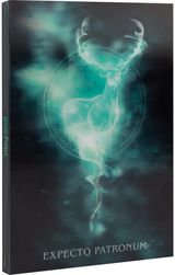 Užrašinė HARRY POTTER Lenticular, su rašikliu, A5, 100 g/m2, 96 l.