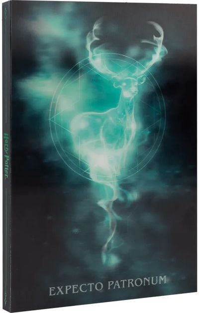 Užrašinė HARRY POTTER Lenticular, su rašikliu, A5, 100 g/m2, 96 l.