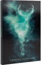 Užrašinė HARRY POTTER Lenticular, su rašikliu, A5, 100 g/m2, 96 l.