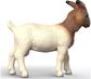 SCHLEICH FARM WORLD BOER Ožka