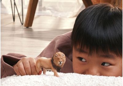 SCHLEICH WILD LIFE Afrikos liūtas
