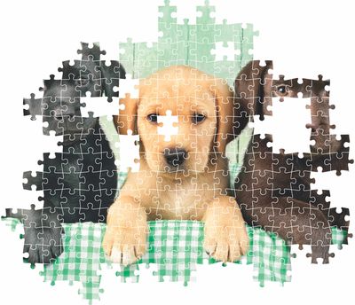 Dėlionė CLEMENTONI Three Labs, 1000 det.