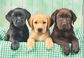 Dėlionė CLEMENTONI Three Labs, 1000 det.