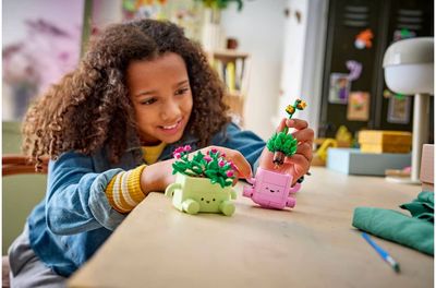 LEGO Botanicals Besisupantys augalai 11506