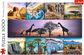 TREFL Dėlionė Afrika, 1000 det.