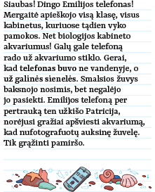 Stalo žaidimas MOKYKLOS DETEKTYVAI NR. 2. PERTRAUKŲ IŠDAIGOS