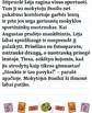 Stalo žaidimas MOKYKLOS DETEKTYVAI NR. 2. PERTRAUKŲ IŠDAIGOS