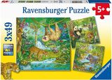 Ravensburger Puzzle 3x49 pc Jungle Fun