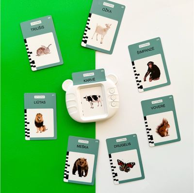 Lavinamosios lietuviškai kalbančios kortelės YES FOR SKILLS