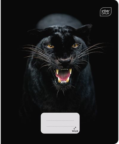 Sąsiuvinis INT WILD COLL, A5, 70 g., 48 l., langeliais