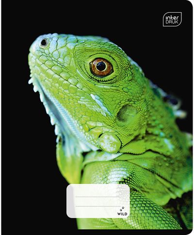 Sąsiuvinis INT WILD COLL, A5, 70 g., 48 l., langeliais