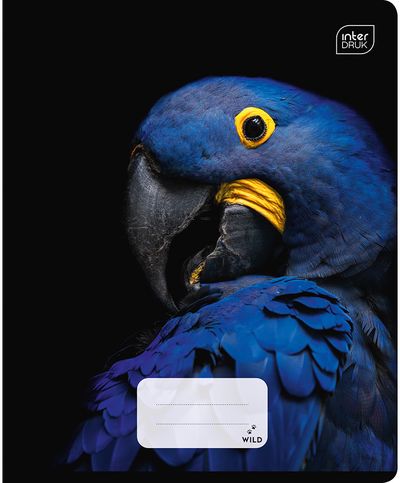 Sąsiuvinis INT WILD COLL, A5, 70 g., 48 l., langeliais