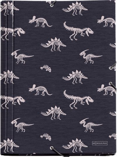 Dėklas sąsiuviniams MR T-REX, A4