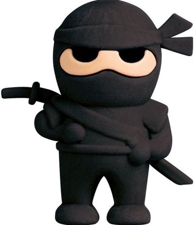 Trintukas Brunnen NINJA POWER