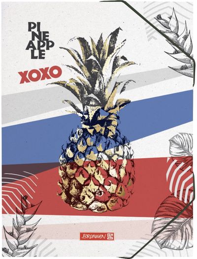 Aplankas plastikinis Brunnen Pineapple su guma, A3