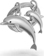 Nerūdijančio plieno pakabukas DELFINAI