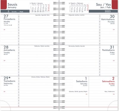 Darbo knyga MIDI SPIRAL 2025, dragonfly