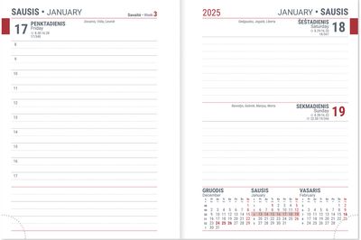 Darbo knyga JUNIOR 2025, helena