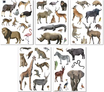 Lipdukai gyvūnų rūšys ANIMALS SPECIES SAVANNA