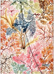 Darbo knyga PAPERBLANKS 2025 Anemone Midi VSO