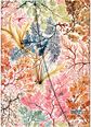 Darbo knyga PAPERBLANKS 2025 Anemone Midi VSO