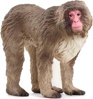 SCHLEICH WILD LIFE Japoninė makaka