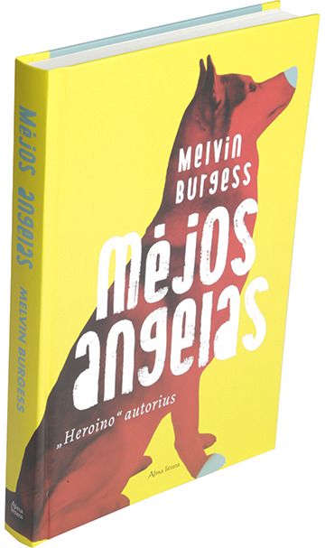 Melvin Burgess - Mėjos angelas. E.knyga - 000000000011002489