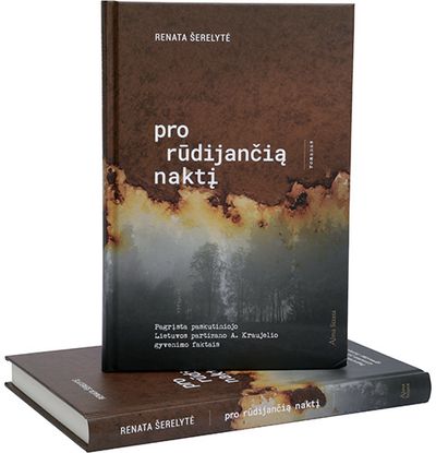 Renata Šerelytė - Pro rūdijančią naktį. E. knyga - 000000000011002493