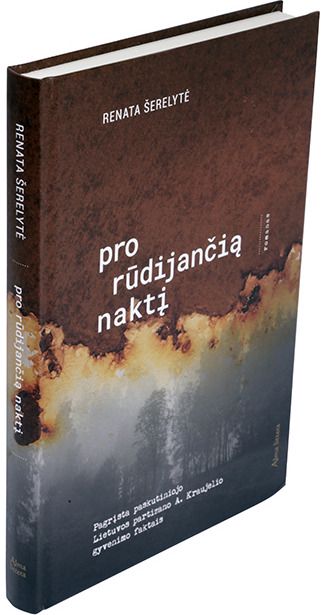 Renata Šerelytė - Pro rūdijančią naktį. E. knyga - 000000000011002493