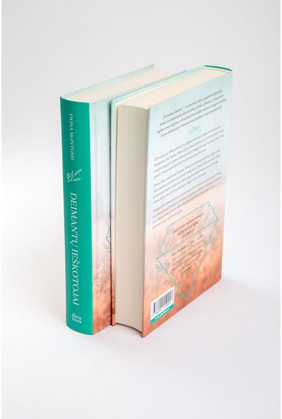 Fiona McIntosh - Deimantų ieškotojai. E.knyga - 000000000011002839