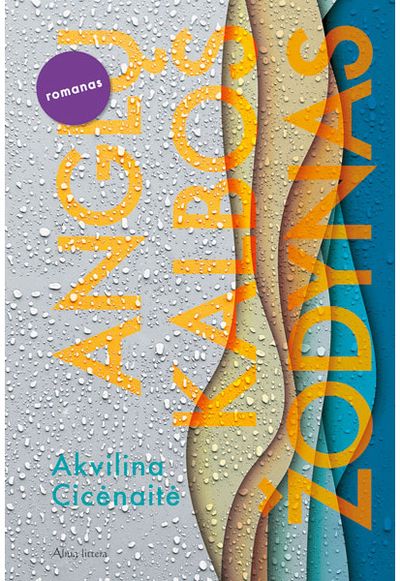 Charles Akvilina - Anglų kalbos žodynas. E. knyga - 000000000011003605