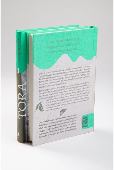 Nebylus kambarys. Tora 2. E.knyga