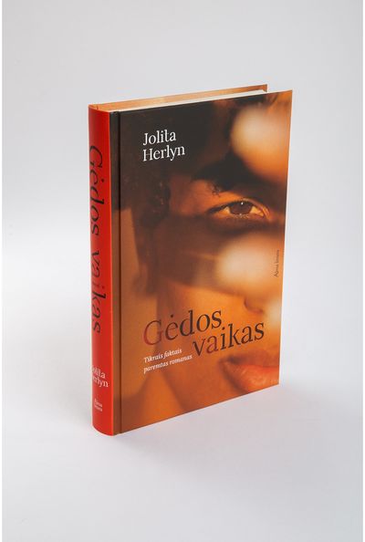 Jolita Herlyn - Gėdos vaikas. E.knyga - 000000000011003698