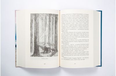 Kapitono Granto vaikai. E.knyga