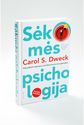 Sėkmės psichologija. E.knyga