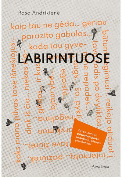 Rasa Andrikienė - Labirintuose. E.knyga - 000000000011003798