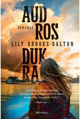 Audros dukra. E.knyga