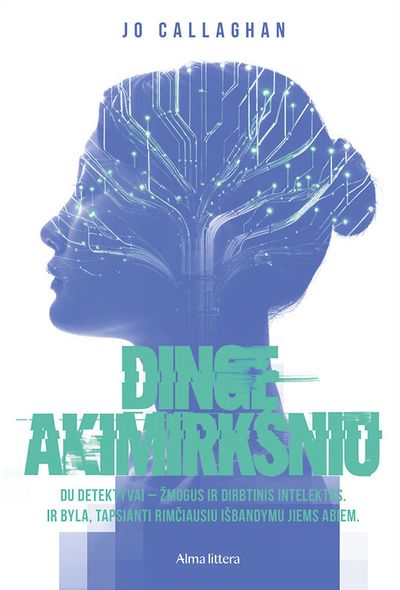 Dingę akimirksniu. E.knyga