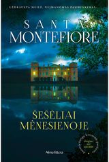 Šešėliai mėnesienoje . E.knyga