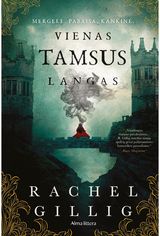 Vienas tamsus langas. Pirma knyga. E.knyga