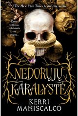 Nedorųjų karalystė. Pirma knyga. E.knyga