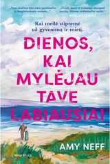 Dienos, kai mylėjau tave labiausiai. Audioknyga