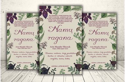 Namų ragana E.knyga