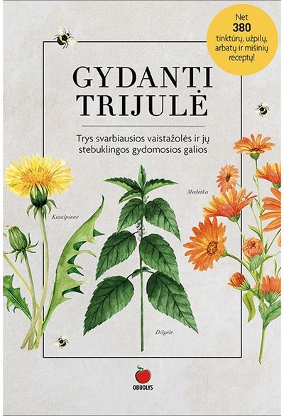 Gydanti trijulė E.knyga