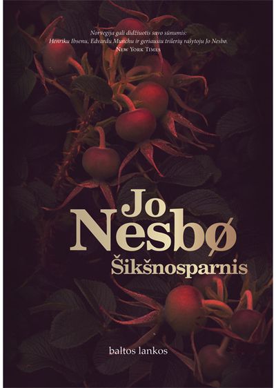 Šikšnosparnis
